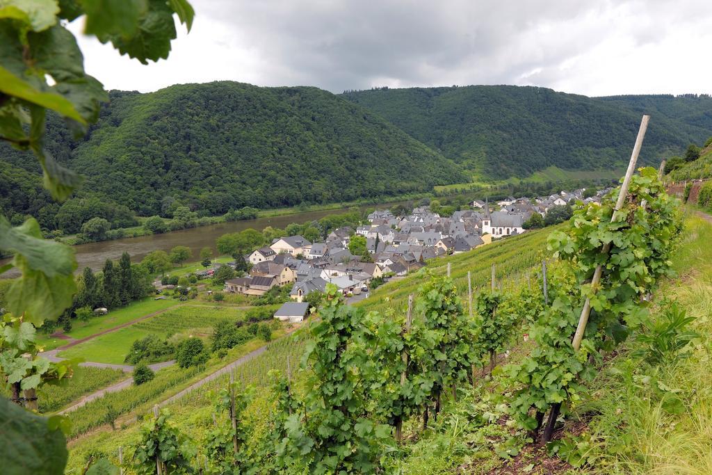 Wein- Und Gaestehaus M. Bai Mesenich Exterior foto